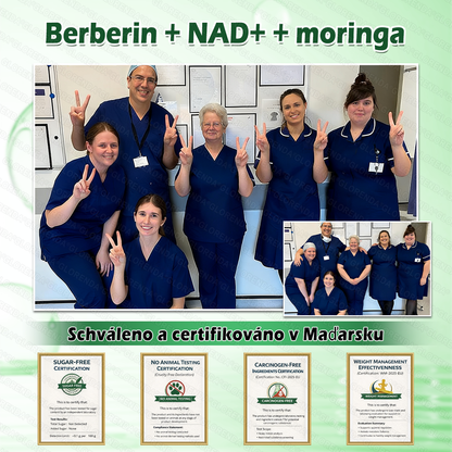 Oficiální obchod | 🌿𝑮𝑳𝑶𝐑𝐄𝐍𝐃𝘼® Moringa · Berberin × NAD+ 10v1 Pokročilá nano náplast s mikrojehlami (pouze jednou denně, viditelné výsledky již za 7 dní) 🌿Pro osoby s obezitou, ochablou pokožkou, cukrovkou a problémy s klouby